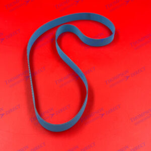 1186660 XED HC Discharge Belt