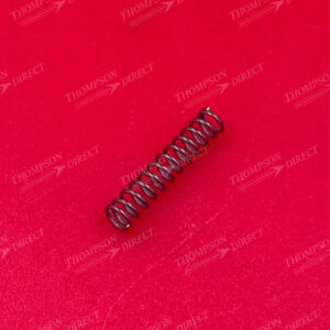SP 000 381 E/T-Top Hub Spring