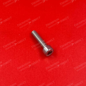 SP 003 396 Cheesehead Screw