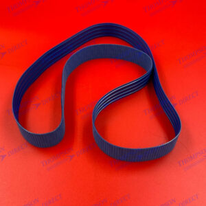 U765100 Transport Belt