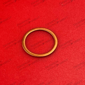 152987 SEAL, RING, SEAT